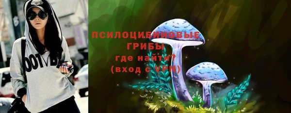 шишки Костерёво