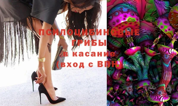 шишки Костерёво