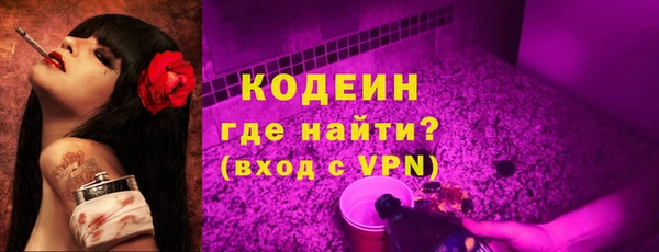 шишки Костерёво