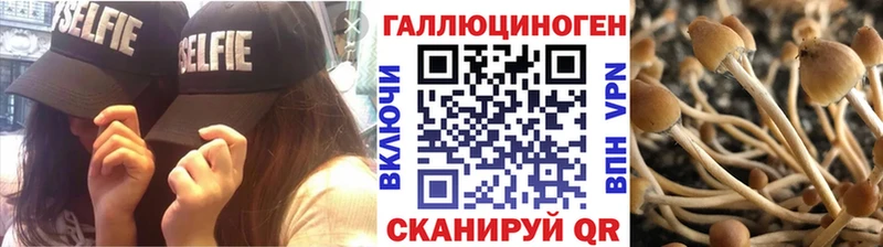 Галлюциногенные грибы Cubensis хочу Новокузнецк